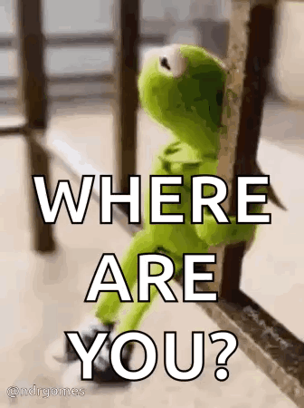Kermit The Frog Is Sitting On A Railing Looking Out A Window . GIF