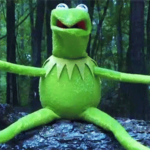 Kermit The Frog Is Sitting On A Rock In The Woods With His Arms Outstretched GIF