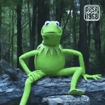 Kermit The Frog Is Sitting On A Rock In The Woods With His Legs Crossed . GIF