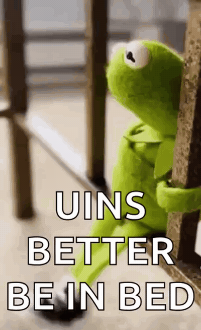 Kermit The Frog Is Sitting On A Wooden Railing With The Words `` Uins Better Be In Bed '' Written On It . GIF