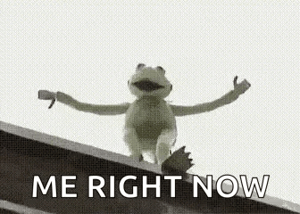 Kermit The Frog Is Sitting On The Edge Of A Building . GIF