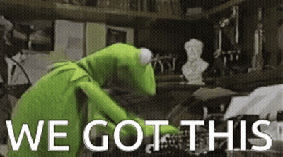 Kermit The Frog Is Standing In A Room With The Words We Got This Written On The Bottom GIF