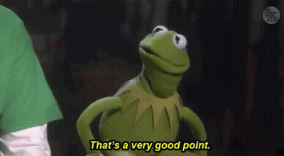 Kermit The Frog Is Standing In Front Of A Person And Saying `` That 'S A Very Good Point '' . GIF