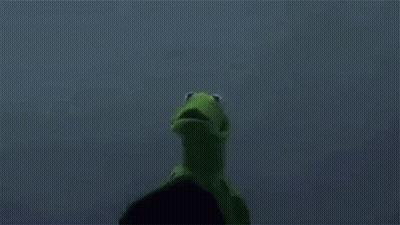 Kermit The Frog Is Standing Next To A Green Frog In A Black Hood . GIF