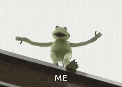 Kermit The Frog Is Standing On The Edge Of A Building . GIF
