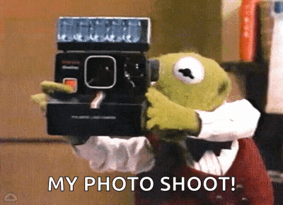 Kermit The Frog Is Taking A Picture With A Polaroid Camera GIF