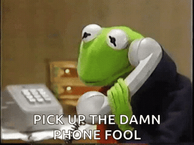 Kermit The Frog Is Talking On A Phone With The Words Pick Up The Damn Phone Fool Below Him GIF