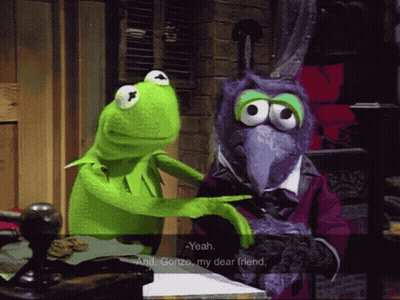 Kermit The Frog Is Talking To Gonzo The Purple Bird GIF