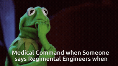 Kermit The Frog Is Thinking With The Words Medical Command When Someone Says Regimental Engineers When Below Him GIF