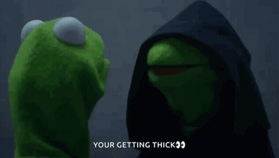 Kermit The Frog Is Wearing A Black Hood And Sunglasses While Kermit The Frog Is Wearing Sunglasses . GIF