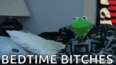 Kermit The Frog Laying On Bed Bedtime Bitches GIF