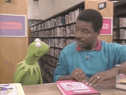 Kermit The Frog LeVar Burton Meme GIF
