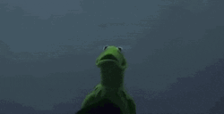 Kermit The Frog Little Yoda Meme GIF