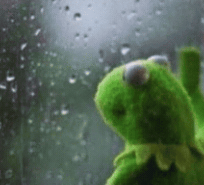 Kermit The Frog Looking Out Window In Rain GIF