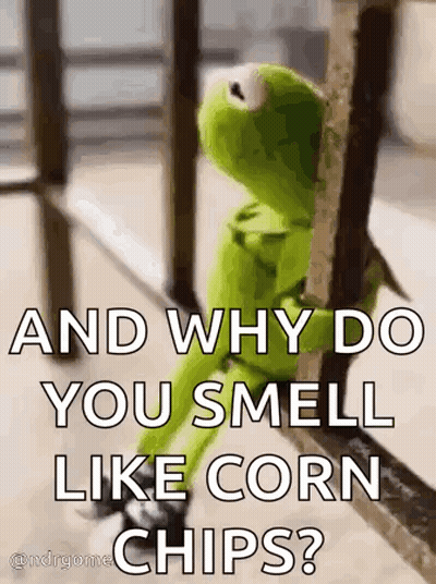 Kermit The Frog Looking Out Window On Railing GIF