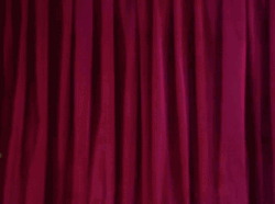 Kermit The Frog Muppets Animal GIF
