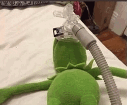 Kermit The Frog Near Death Meme GIF