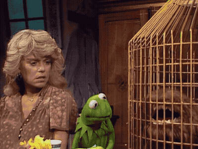 Kermit The Frog Next To Woman And Cage GIF