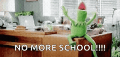 Kermit The Frog No More School GIF