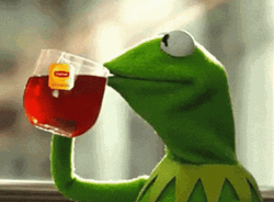 Kermit The Frog None Of My Business Meme GIF