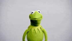 Kermit The Frog On Wednesday Hump Day GIF