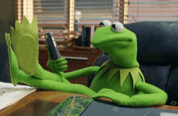Kermit The Frog Relaxing Feet Up Meme GIF