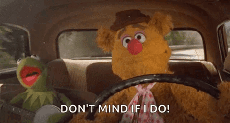 Kermit The Frog Road Trip Meme GIF