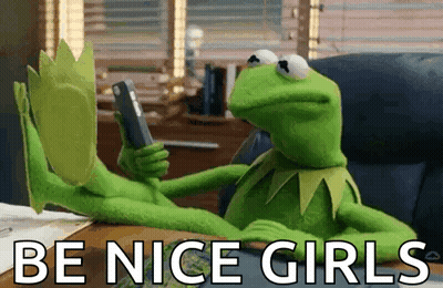 Kermit The Frog Saying Be Nice Girls GIF
