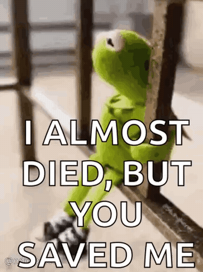 Kermit The Frog Saying You Saved Me GIF