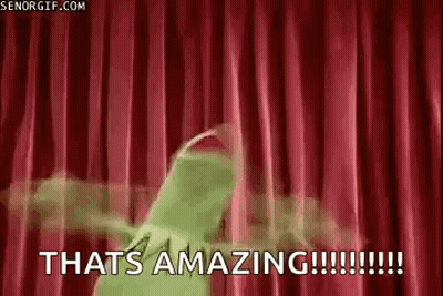 Kermit The Frog Says That's Amazing GIF