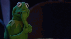 Kermit The Frog Scared Shaking GIF