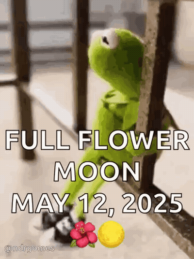 Kermit The Frog Sitting On Railing GIF