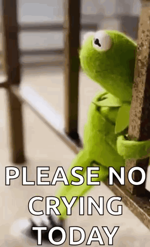 Kermit The Frog Sitting On Railing Please No Crying Today GIF