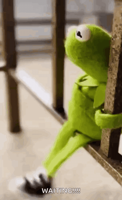 Kermit The Frog Sitting On Railing Waiting GIF