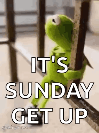 Kermit The Frog Sitting On Railing GIF
