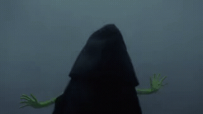 Kermit The Frog Standing Next To Person In Black Hooded Jacket GIF