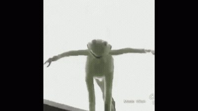 Kermit The Frog Standing With Arms Out GIF