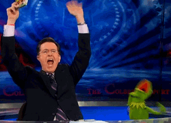 Kermit The Frog Stephen Colbert Meme GIF