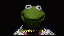 Kermit The Frog Together Again Meme GIF