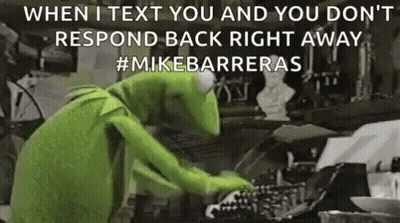Kermit The Frog Typing On Typewriter GIF