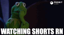 Kermit The Frog Watching Shorts Meme GIF