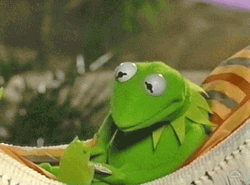 Kermit The Frog Writing Journal Meme GIF
