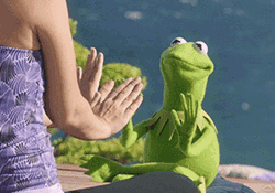 Kermit The Frog Yoga Meditation Meme GIF