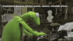  Kermit Typing Experience Kitchen Driver GIF