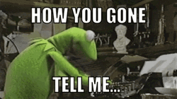 Kermit Typing Tell Me GIF