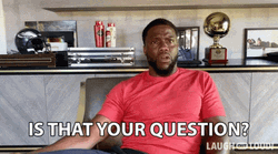 Kevin Hart Is That Your Question GIF