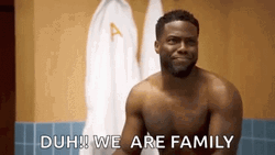 Kevin Hart We Are Family GIF