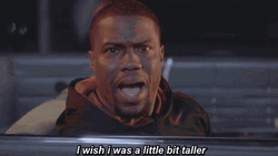 Kevin Hart Wish A Little Bit Taller GIF