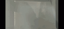 Kevin McGarry Sneaking In Through Window GIF