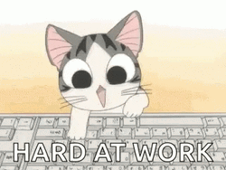 Keyboard Cat Hard At Work GIF